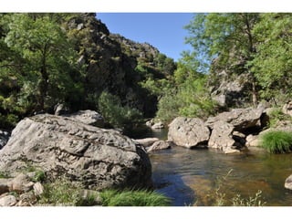Excursión cabañeros1