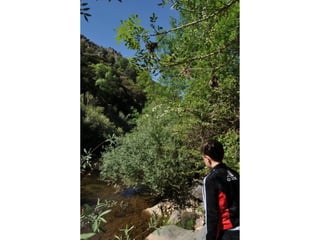 Excursión cabañeros1