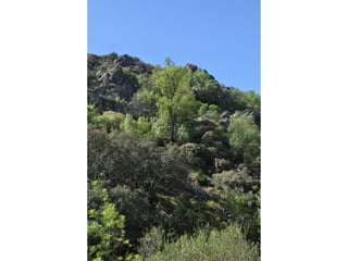 Excursión cabañeros1