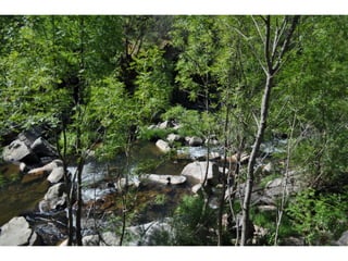 Excursión cabañeros1