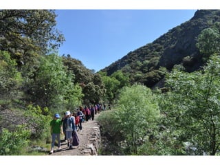 Excursión cabañeros1