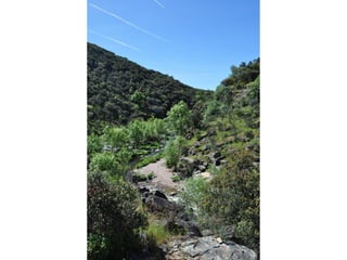 Excursión cabañeros1