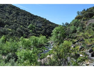 Excursión cabañeros1