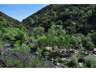 Excursión cabañeros1