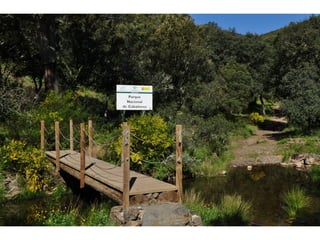 Excursión cabañeros1