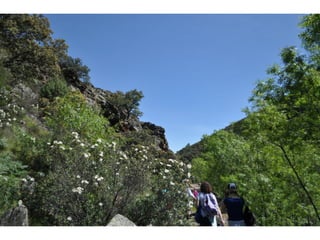 Excursión cabañeros1