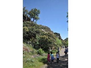 Excursión cabañeros1