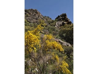 Excursión cabañeros1