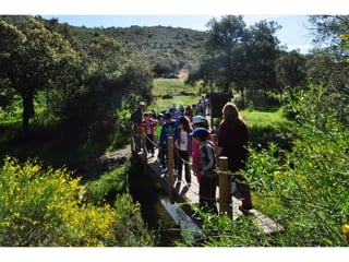 Excursión cabañeros1