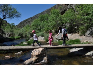 Excursión cabañeros1