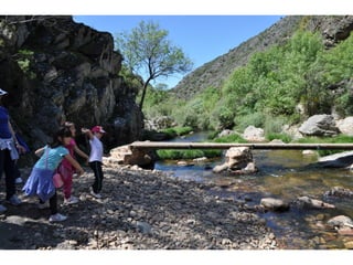 Excursión cabañeros1