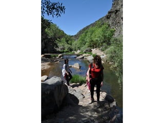 Excursión cabañeros1