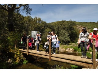 Excursión cabañeros1