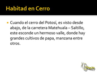  Cuando el cerro del Potosí, es visto desde
abajo, de la carretera Matehuala – Saltillo,
este esconde un hermoso valle, donde hay
grandes cultivos de papa, manzana entre
otros.
 