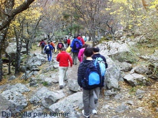De vuelta para comer 