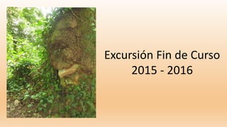 Excursión Fin de Curso
2015 - 2016
 