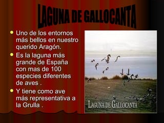 Uno de los entornosUno de los entornos
más bellos en nuestromás bellos en nuestro
querido Aragón.querido Aragón.
 Es la laguna másEs la laguna más
grande de Españagrande de España
con mas de 100con mas de 100
especies diferentesespecies diferentes
de aves .de aves .
 Y tiene como aveY tiene como ave
más representativa amás representativa a
la Grulla .la Grulla .
 