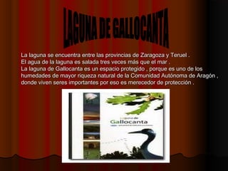 La laguna se encuentra entre las provincias de Zaragoza y Teruel .La laguna se encuentra entre las provincias de Zaragoza y Teruel .
El agua de la laguna es salada tres veces más que el mar .El agua de la laguna es salada tres veces más que el mar .
La laguna de Gallocanta es un espacio protegido , porque es uno de losLa laguna de Gallocanta es un espacio protegido , porque es uno de los
humedades de mayor riqueza natural de la Comunidad Autónoma de Aragón ,humedades de mayor riqueza natural de la Comunidad Autónoma de Aragón ,
donde viven seres importantes por eso es merecedor de protección .donde viven seres importantes por eso es merecedor de protección .
 