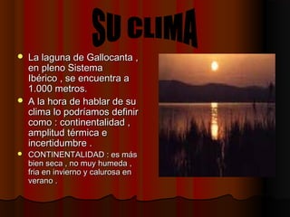  La laguna de Gallocanta ,La laguna de Gallocanta ,
en pleno Sistemaen pleno Sistema
Ibérico , se encuentra aIbérico , se encuentra a
1.000 metros.1.000 metros.
 A la hora de hablar de suA la hora de hablar de su
clima lo podríamos definirclima lo podríamos definir
como : continentalidad ,como : continentalidad ,
amplitud térmica eamplitud térmica e
incertidumbre .incertidumbre .
 CONTINENTALIDAD : es másCONTINENTALIDAD : es más
bien seca , no muy humeda ,bien seca , no muy humeda ,
fria en invierno y calurosa enfria en invierno y calurosa en
verano .verano .
 