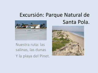 Excursión: Parque Natural de
Santa Pola.
Nuestra ruta: las
salinas, las dunas
Y la playa del Pinet.
 