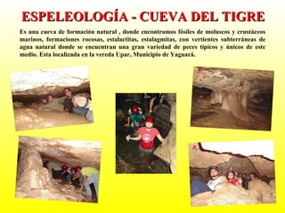 Es una cueva de formación natural , donde encontramos fósiles de moluscos y crustáceos marinos, formaciones rocosas, estalactitas, estalagmitas, con vertientes subterráneas de agua natural donde se encuentran una gran variedad de peces típicos y únicos de este medio. Esta localizada en la vereda Upar, Municipio de Yaguará. ESPELEOLOGÍA - CUEVA DEL TIGRE 