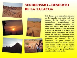 Éste bosque seco tropical se convierte en la segunda zona árida del país, después de la Guajira, con un geomorfismo principalmente de estoraques y cárcavas entre otros y sus diferentes matices que dan al suelo desde un ocre hasta un color marciano y lunar, la Tatacoa es el lugar mas especial para contemplar la bóveda celeste, un lugar muy seguro en el que los visitantes llegan a acampar para así pernoctar en contacto con la naturaleza, un gran numero de animales silvestres aun habitan en esta zona natural desde aves de rapiña, depredadoras, hasta un gran numero de liebres y zorros que principalmente son observados en la noche. SENDERISMO – DESIERTO DE LA TATACOA 