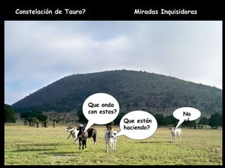 Miradas Inquisidoras Que onda con estos? Que están haciendo? No sé Constelación de Tauro? 