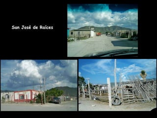 San José de Raíces 