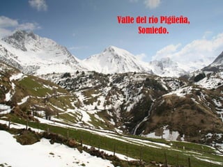 Valle del río Pigüeña, Somiedo. 
