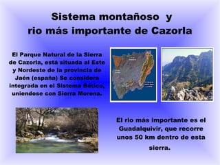 Sistema montañoso y
      rio más importante de Cazorla

 El Parque Natural de la Sierra
de Cazorla, está situada al Este
 y Nordeste de la provincia de
  Jaén (españa) Se considera
integrada en el Sistema Bético,
 uniendose con Sierra Morena.



                                   El rio más importante es el
                                    Guadalquivir, que recorre
                                   unos 50 km dentro de esta
                                            sierra.
 