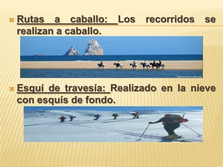    Rutas a caballo:      Los   recorridos   se
    realizan a caballo.




   Esquí de travesía: Realizado en la nieve
    con esquís de fondo.
 