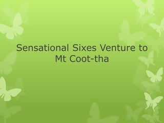 Sensational Sixes Venture to
Mt Coot-tha
 