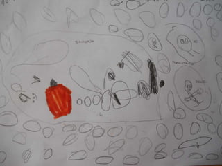 Excursion planetario