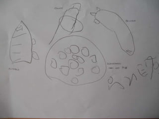 Excursion planetario