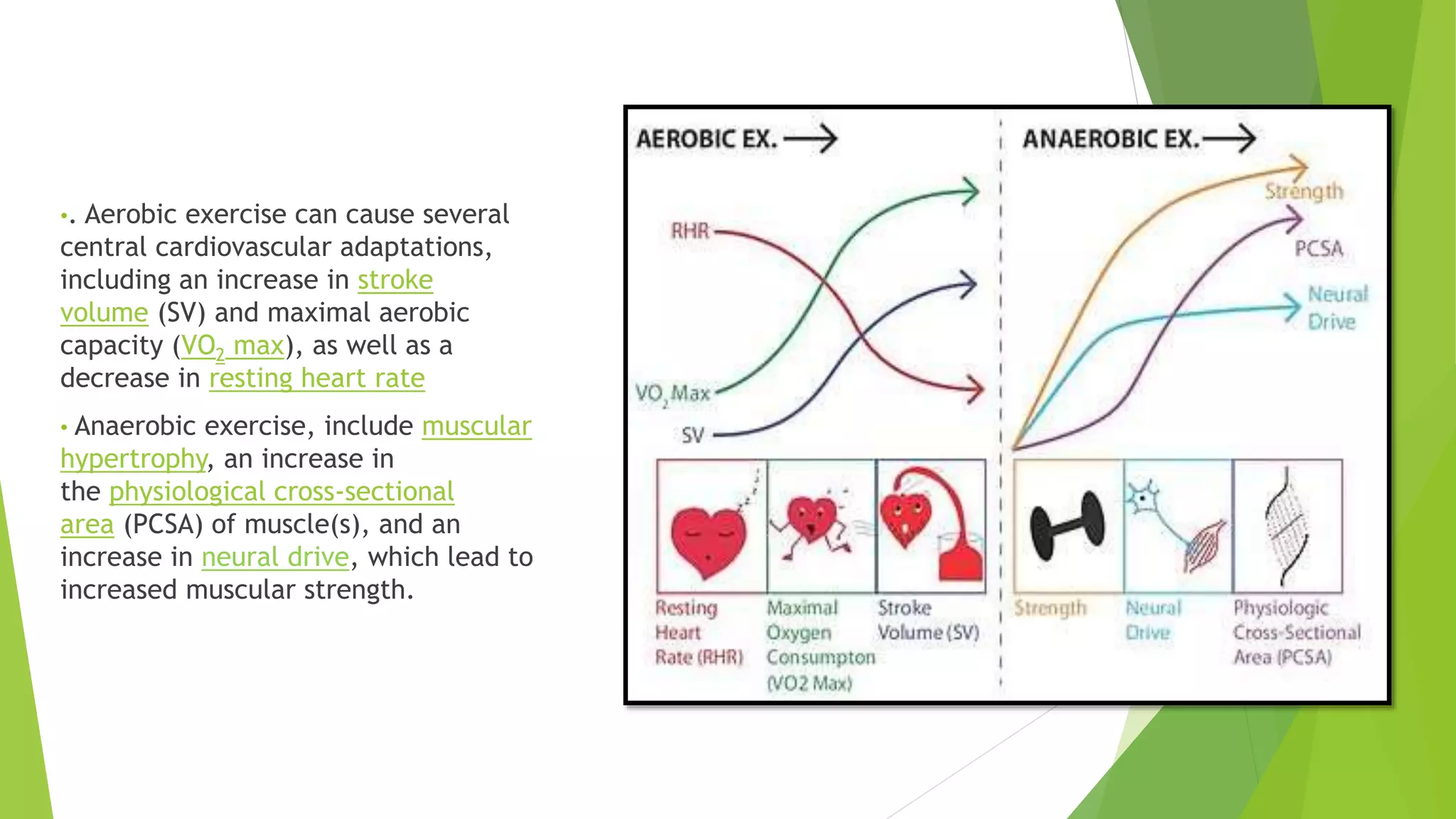 EXERCISE & HEALTHY LIFESTYLE, YOGA | PPTX