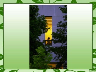 Exds 2001  Nostalgics and Nowhere-ians