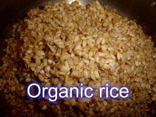 Nilingta native
Tinola nga nga
kuskusleng
Dinengdeng nga
nga manok
Adobo ngaricea
Organicnga
Ukoy nga tukak
(bunog)abuos
Adobo nga
agurong
Dinengdengnga
Itlog ti abuos
Dinardaraan
Kinirog
Birabib

 