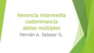 Herencia intermedia
codominancia
alelos múltiples
Hernán A. Salazar G.
 