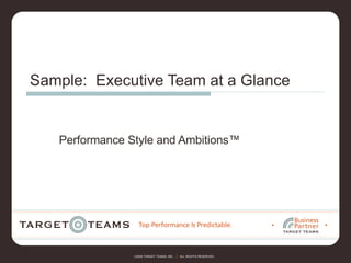 Sample:  Executive Team at a Glance Performance Style and Ambitions™ 