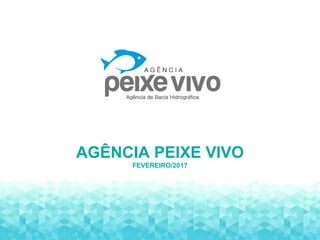 AGÊNCIA PEIXE VIVO
FEVEREIRO/2017
 