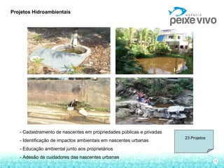 10
Projetos Hidroambientais
- Cadastramento de nascentes em propriedades públicas e privadas
- Identificação de impactos ambientais em nascentes urbanas
- Educação ambiental junto aos proprietários
- Adesão de cuidadores das nascentes urbanas
23 Projetos
 