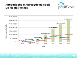 4
Arrecadação e Aplicação na Bacia
Do Rio das Velhas
 