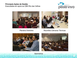 6
Plenária Ordinária
Principais Ações de Gestão
Executadas em apoio ao CBH Rio das Velhas
Reuniões Câmaras Técnicas
Seminários
 