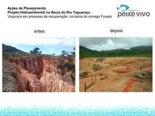 8
Ações de Planejamento
Projeto Hidroambiental na Bacia do Rio Taguaraçu
Voçoroca em processo de recuperação, na bacia do córrego Furado
antes depois
 