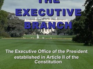 THE EXECUTIVE BRANCH ,[object Object],[object Object]