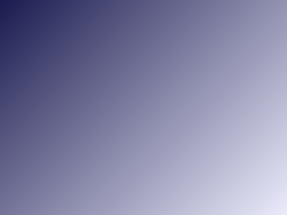 The Executive Branch