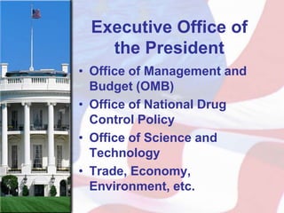 Executive Office of
   the President
• Office of Management and
  Budget (OMB)
• Office of National Drug
  Control Policy
• Office of Science and
  Technology
• Trade, Economy,
  Environment, etc.
 