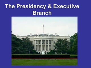 The Presidency & Executive
          Branch
 