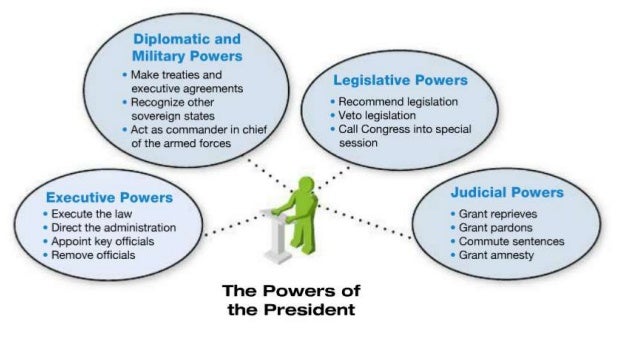 how should the power of the executive branch be structured