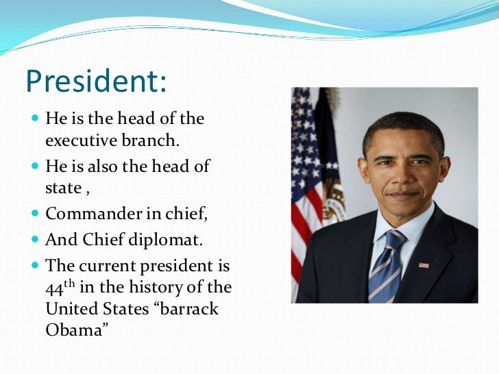 Executive branch cfr 